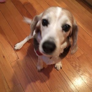 Meet your Posher, Kara